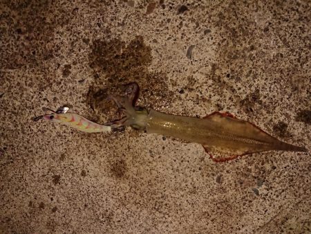 かなりのウネリの中で